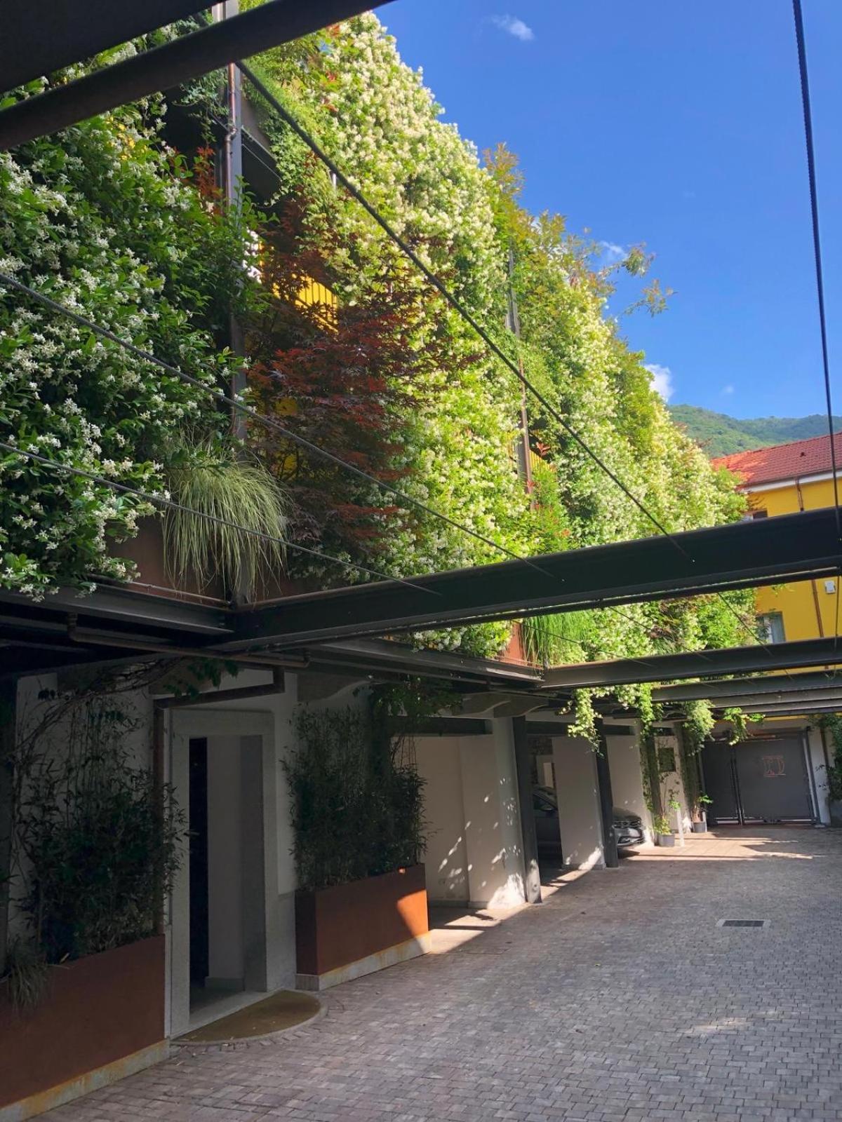 Residence Casa Coppa Appartamento Iris Omegna Eksteriør billede
